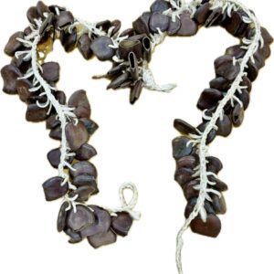 Nut Shaker Rattle Pair